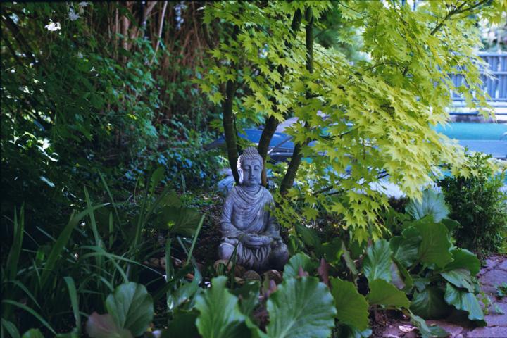 DSCF1043.jpg