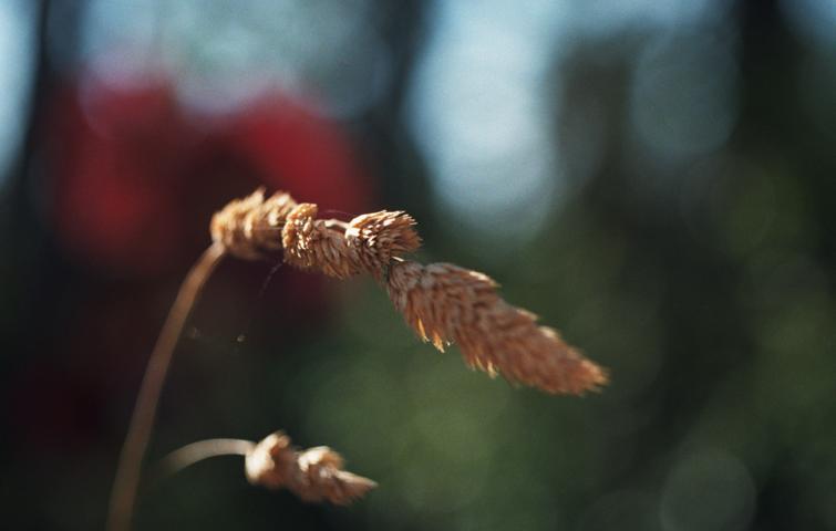 DSCF6019.jpg