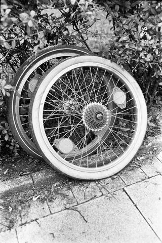 DSCF8024.jpg