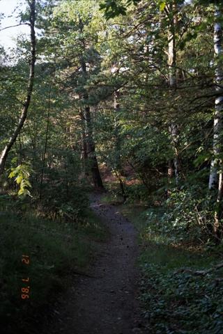 DSCF9070.jpg